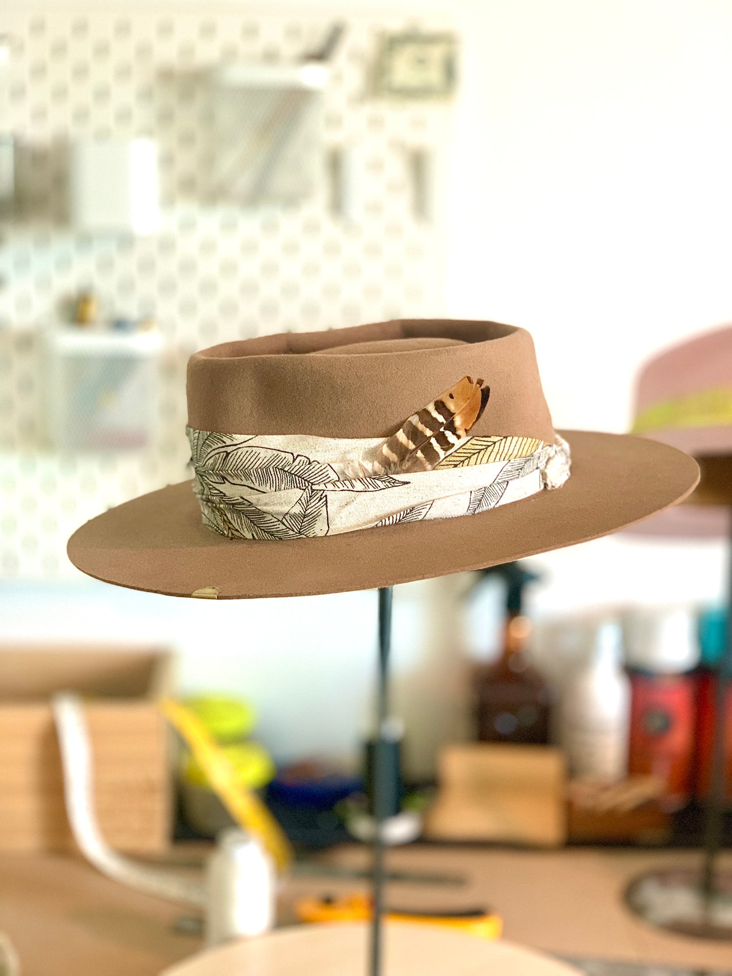 le Cyphoma